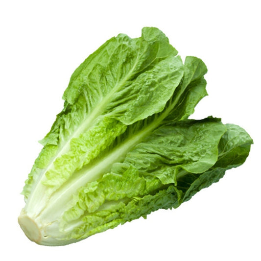 Βιολογικό Μαρούλι (Τεμάχιο) Bio Greenhouse